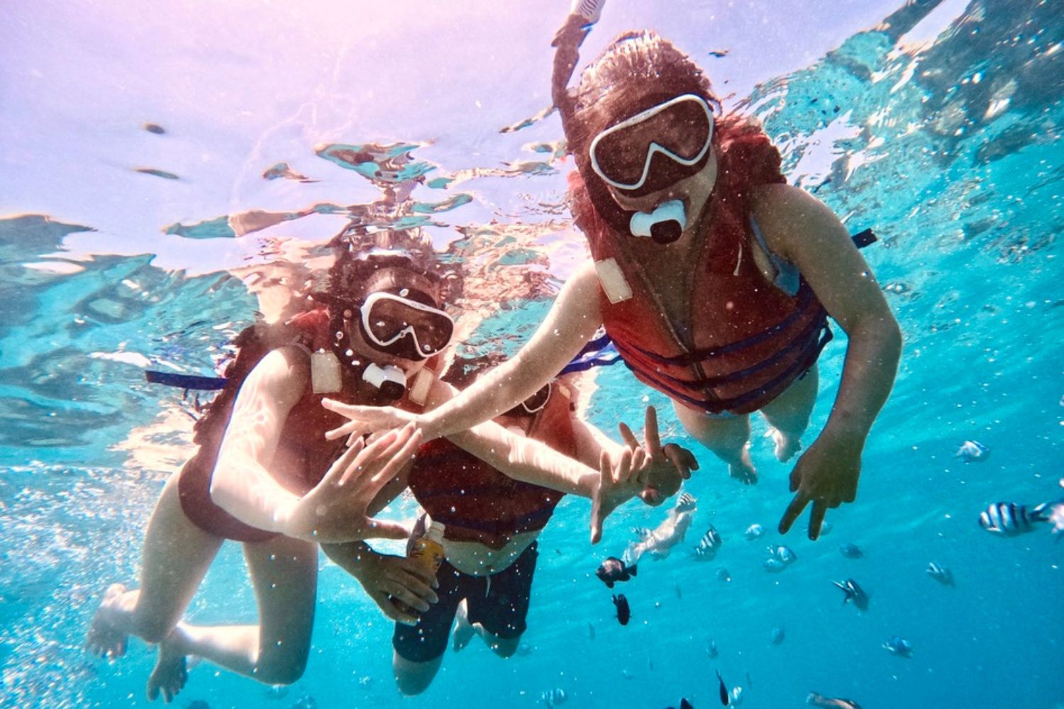Discover Coral Reef By Snorkeling And Crazy Party In Nha Trang - HolidaySG