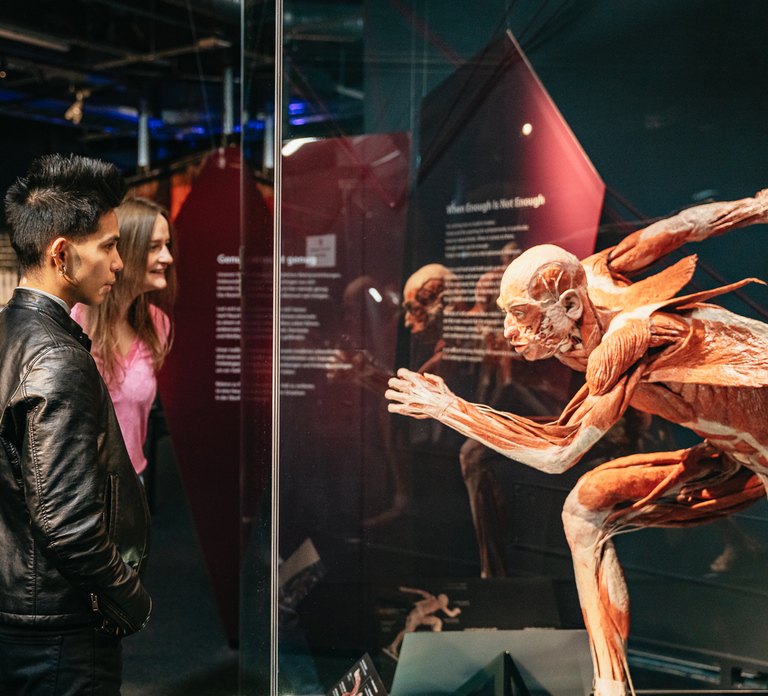 Berlin: Tickets for the BODY WORLDS Museum in Berlin