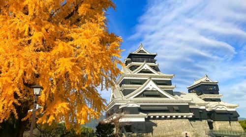 Kumamoto Aso Boy Kumamoto Castle Aso Crater 1-day tour
