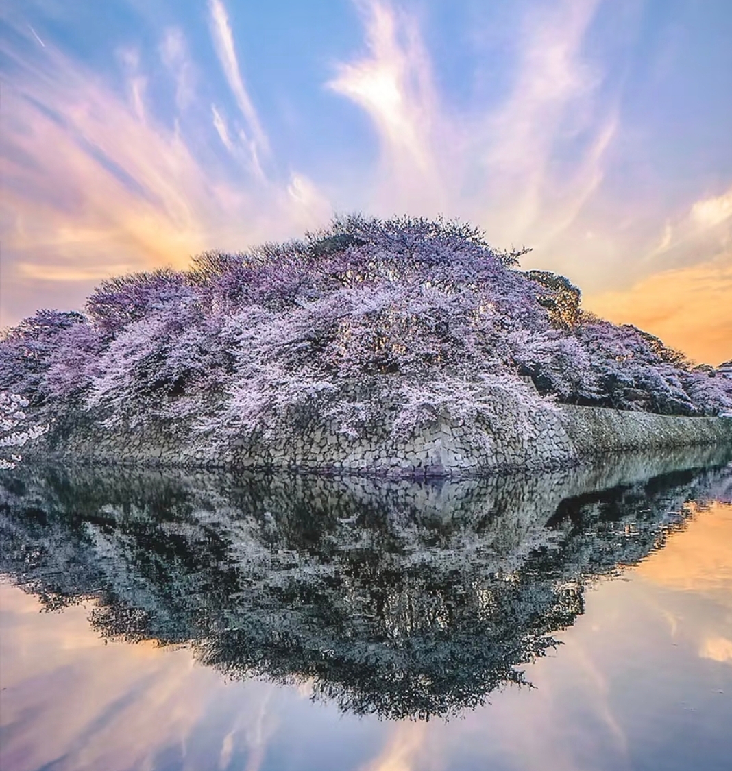 Four Seasons Biwa Lake & La Collina Omihachiman & Nara 1-Day Tour - HolidaySG