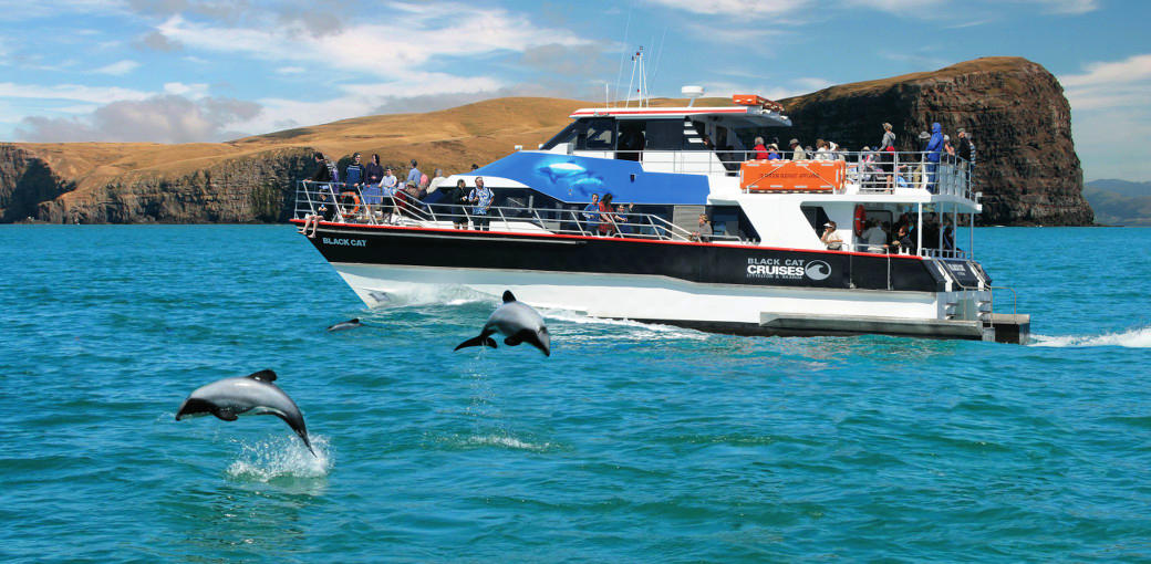 Akaroa Harbour Nature Cruise - HolidaySG