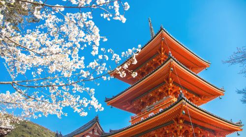 [Pure Fun] Kinkakuji Temple + Kiyomizu Temple + Fushimi Inari Taisha Shrine one-day tour in Osaka, Kyoto, Japan Day Tours