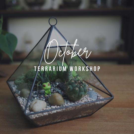 Terrarium Workshop - HolidaySG