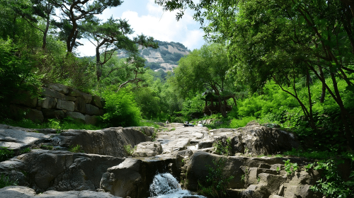 Seoul : Hidden Fortress Trek: Secret Trail to Seochon Flavor Day Tours