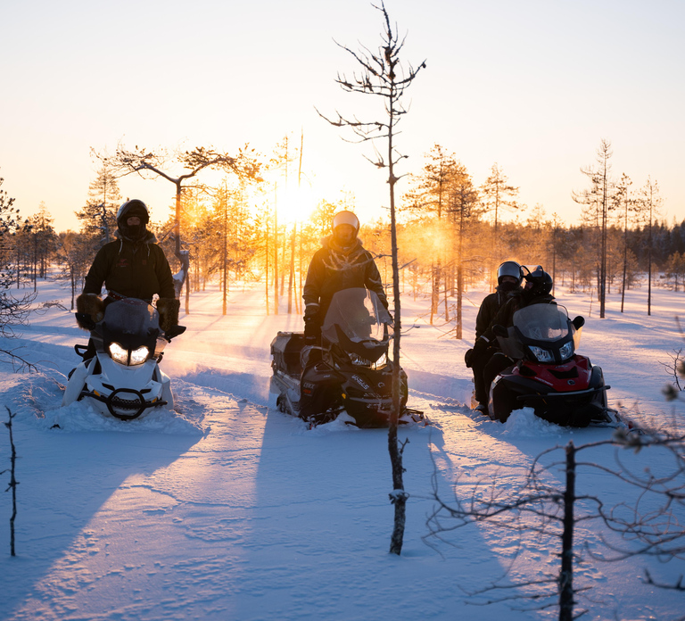 Ranua: Snowmobile Safari with Hot Drink