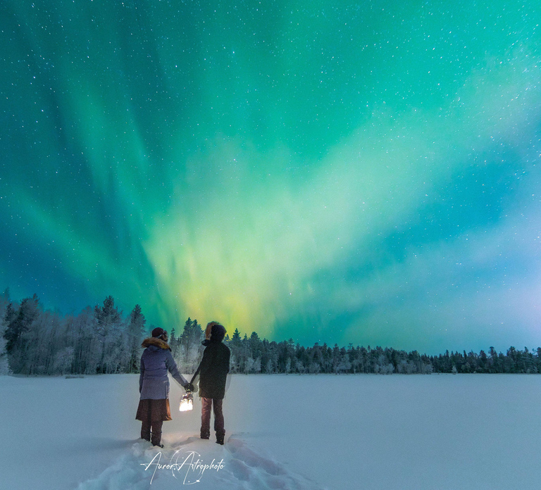 Rovaniemi: Aurora Hunting & Photography Tour