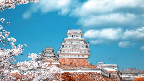 Japan's top three night views - wake up naturally - Kobe Mount Maya Kosei Observatory & Himeji Castle day tour Day Tours