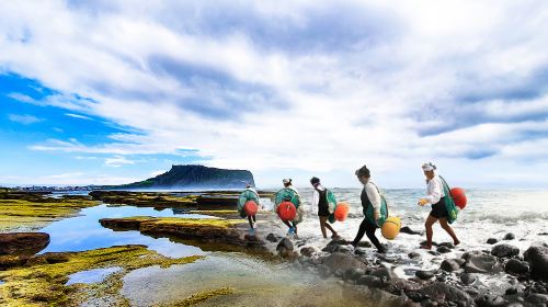 Jeju UNESCO Original Day Tour - East Course Day Tours