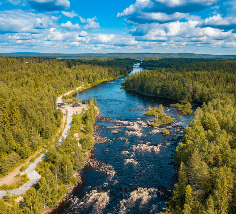From Rovaniemi: Vikaköngäs Forest Hiking Tour