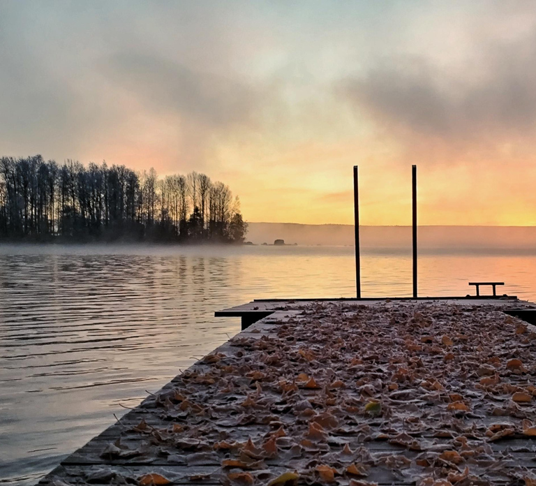 Rovaniemi: Traditional Sauna and Ice Swimming Experience