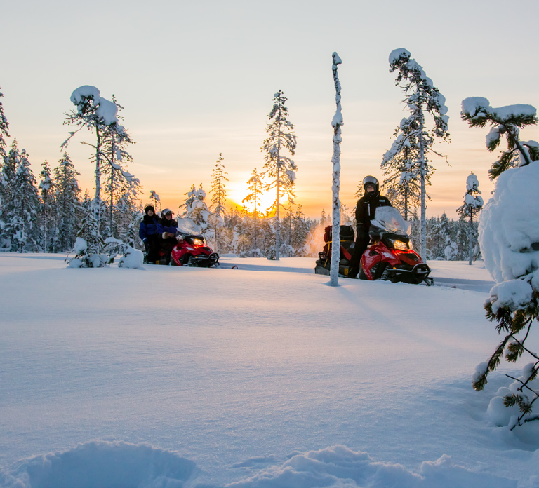 Rovaniemi: Snowmobile Safari to a Reindeer Farm