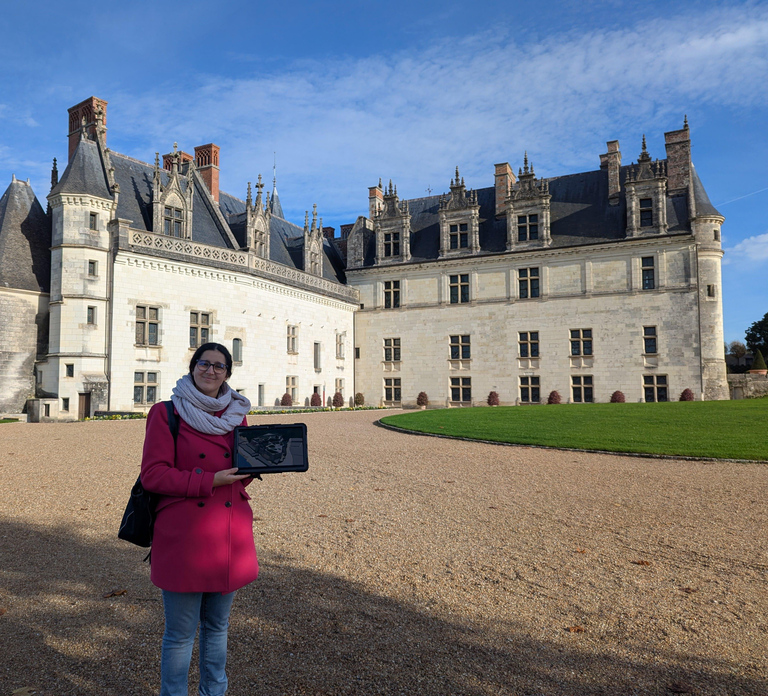 Guided tour of the royal château of Amboise