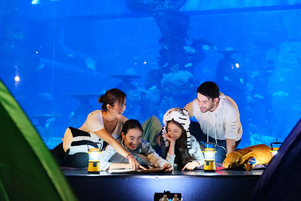 Jakarta Aquarium Safari - HolidaySG