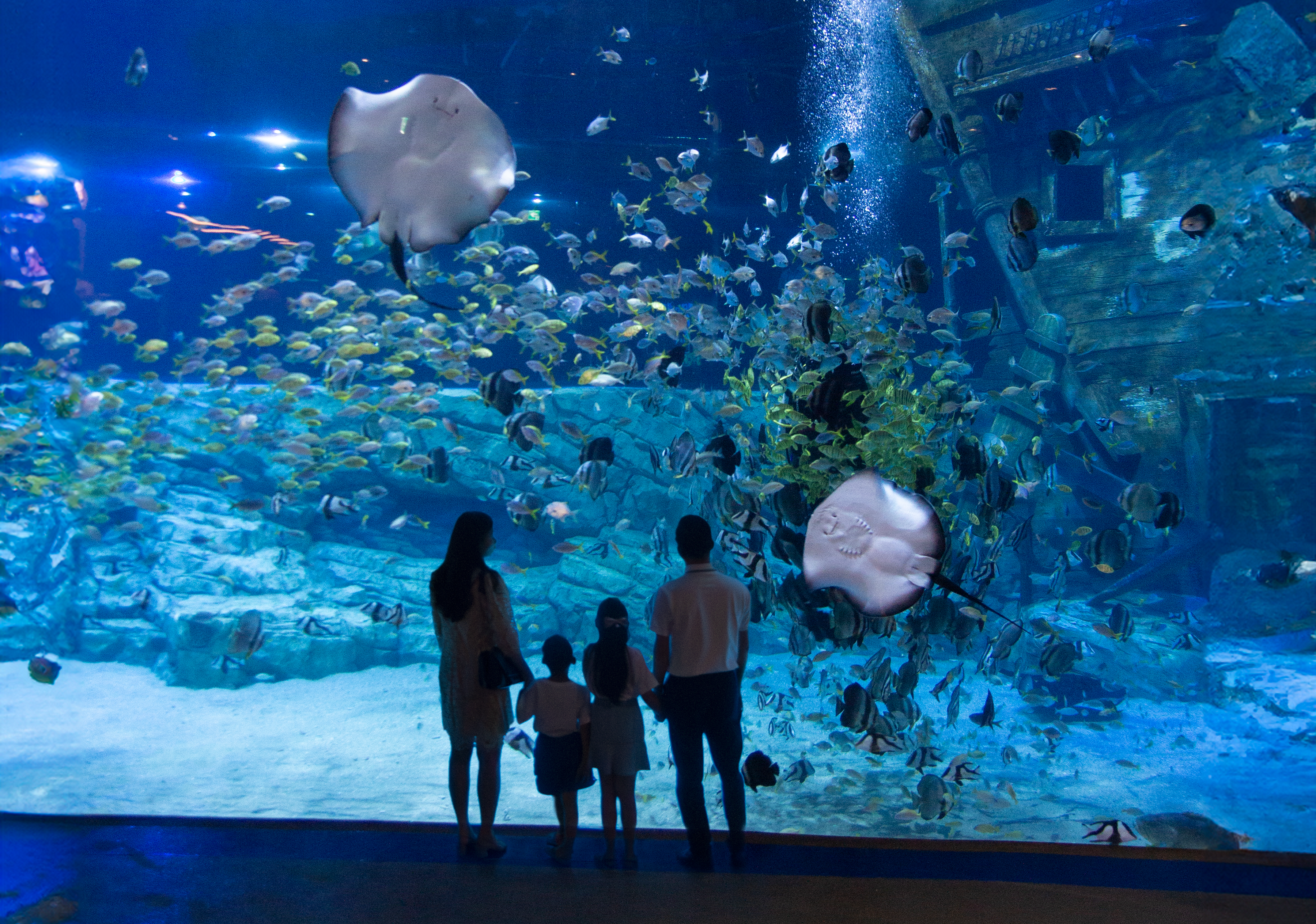 Lotte World Aquarium Hanoi Ticket