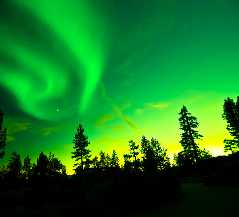Rovaniemi: Guided Northern Lights Tour