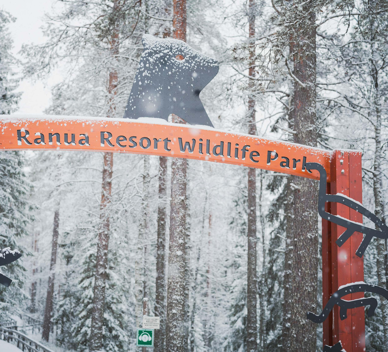 Ranua Wildlife Park Day: Visit the Arctic Animals
