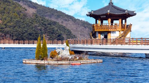Daegu|Songhae Park X Mt. Palgongsan Cable Car X SEALIFE Busan Aquarium X Beach Train *Departing from Busan Day Tours