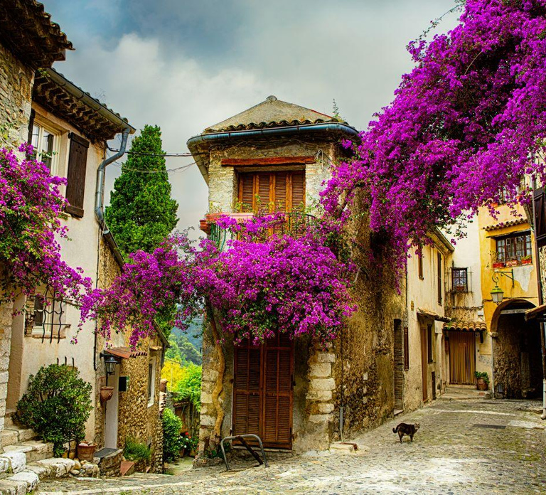 From Nice: Provence and its Medieval Villages Full-Day Tour