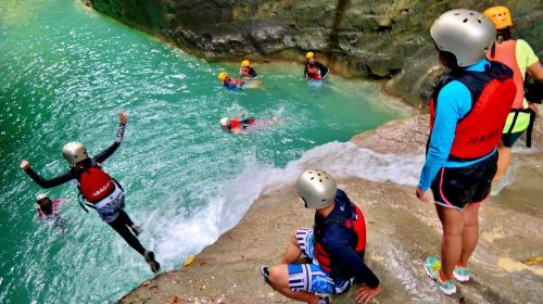 1-day tour to Oslob whale sharks + Kawasan Falls canyoneering in Cebu, Philippines Day Tours - HolidaySG