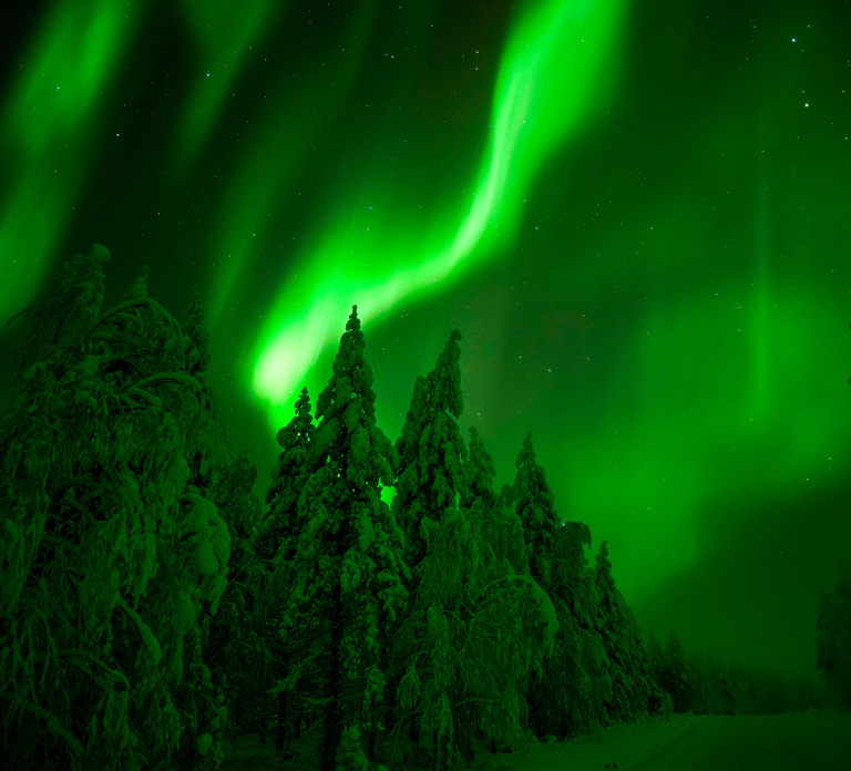 Guaranteed Northern Lights Hunting Adventure in Lapland