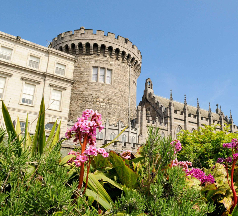 Dublin Private Tour with Skip-the-line Dublin Castle Tickets