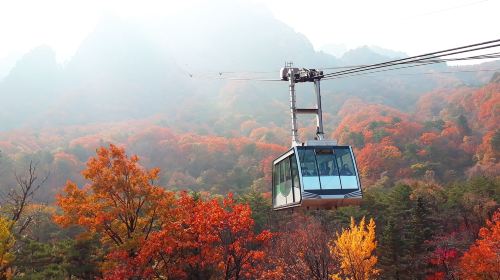 Seoraksan+Nami Island+Garden of Morning Calm one-day tour Day Tours