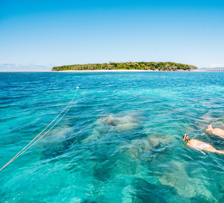 Cairns: Green Island Snorkelling or Glass Bottom Boat - HolidaySG