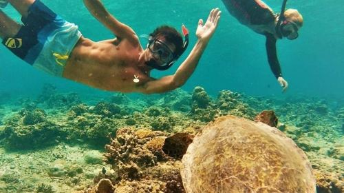 Circle Island: Swim with Turtles and Explore Paradise Oahu Day Tours