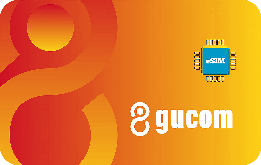 Airalo Guyana e-Sim Package