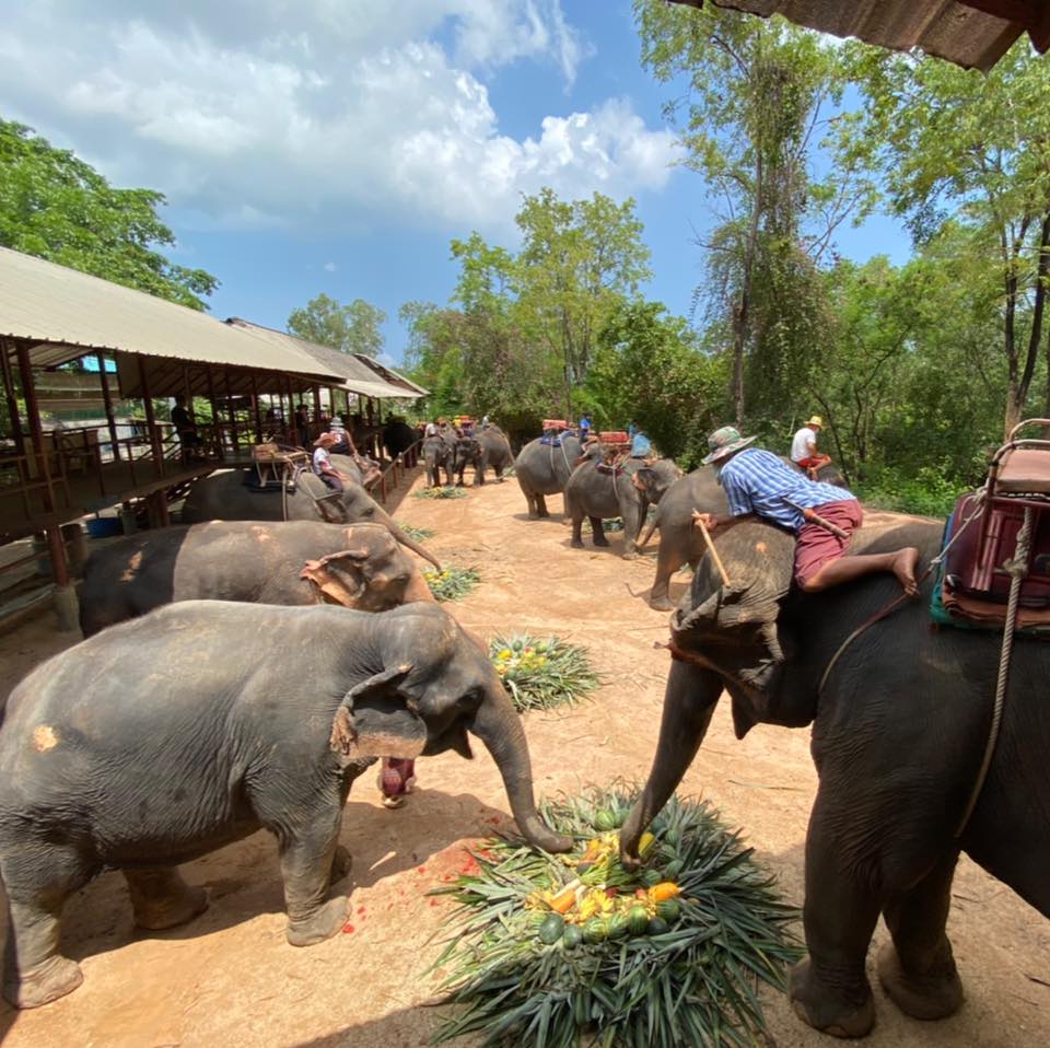 Chang Siam Krating Lai Pattaya - HolidaySG