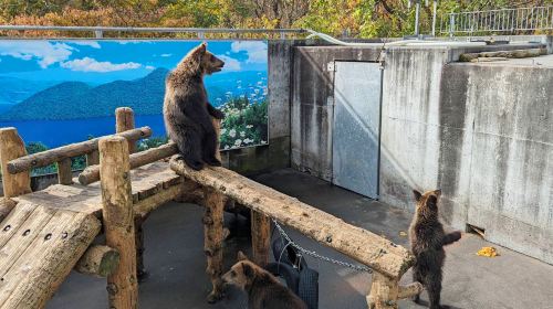 Hokkaido Lake Toya Hot Spring • Showa Shinzan Bear Ranch • Lake Shikotsu Cape Chikyu 1-day tour Day Tours