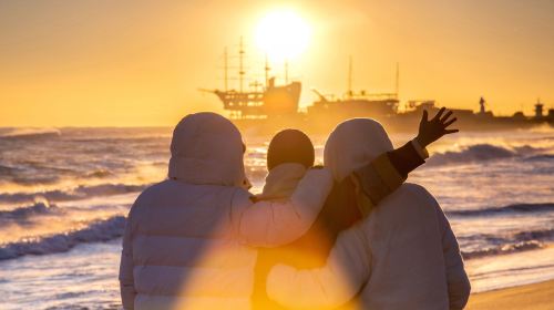 2026 New Year Sunrise at Jeongdongjin Beach Tour (From Seoul, DDP Countdown) Day Tours