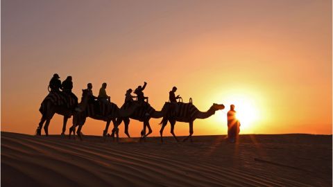 Dubai: Sunset Camel Safari, Stargazing, BBQ at Al Khayma