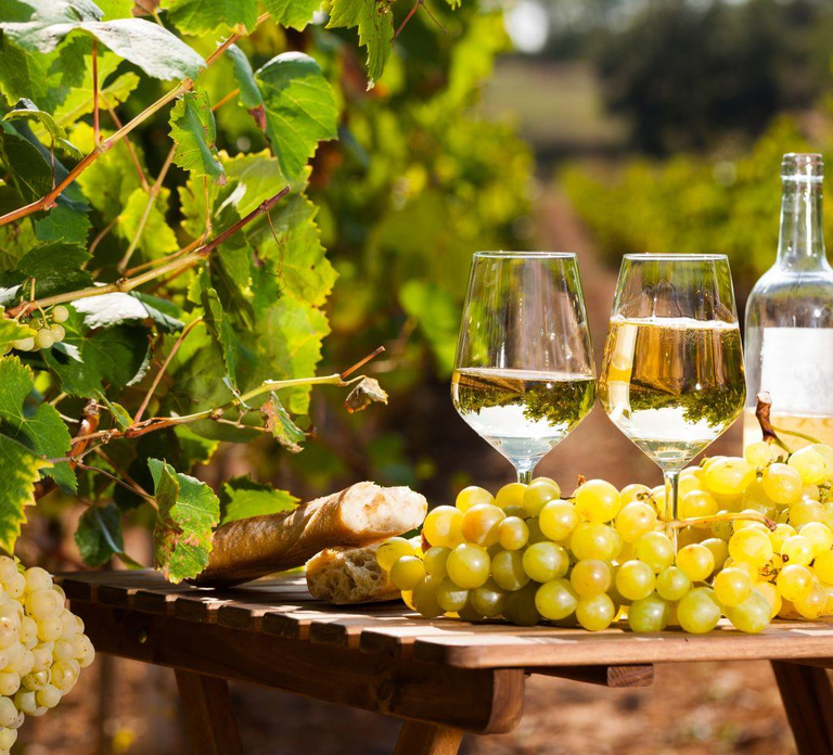 From Nice: Antibes & St Paul de Vence Tour with Wine Tasting