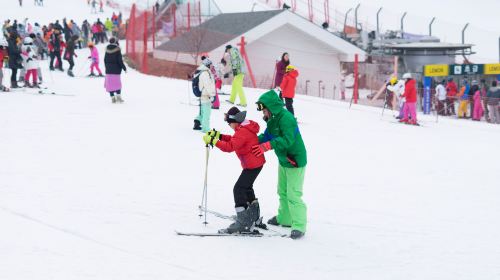  Jisan Forest Winter Ski Day Tour (From Seoul, Ski Snowboard, with Clothes & Basic Lesson) Day Tours