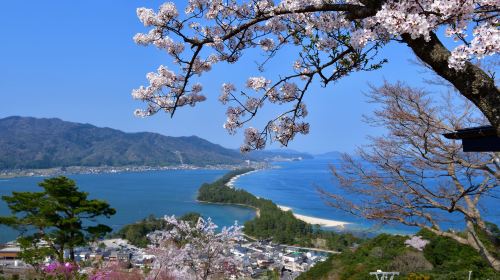 Chionji Temple + Amanohashidate + Kasamatsu Park  Day tour including lunch Day Tours