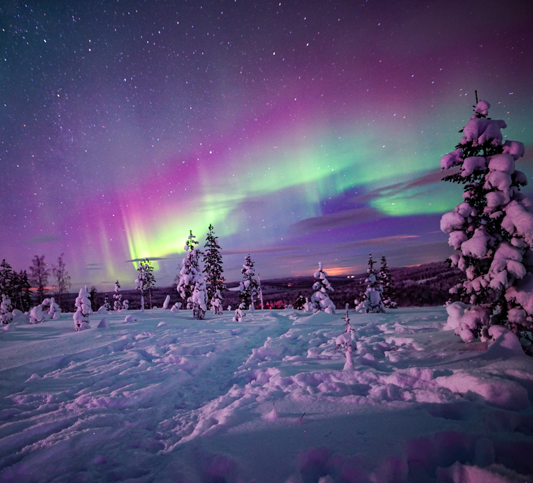 Night Snowshoeing Adventure under the Northern Lights