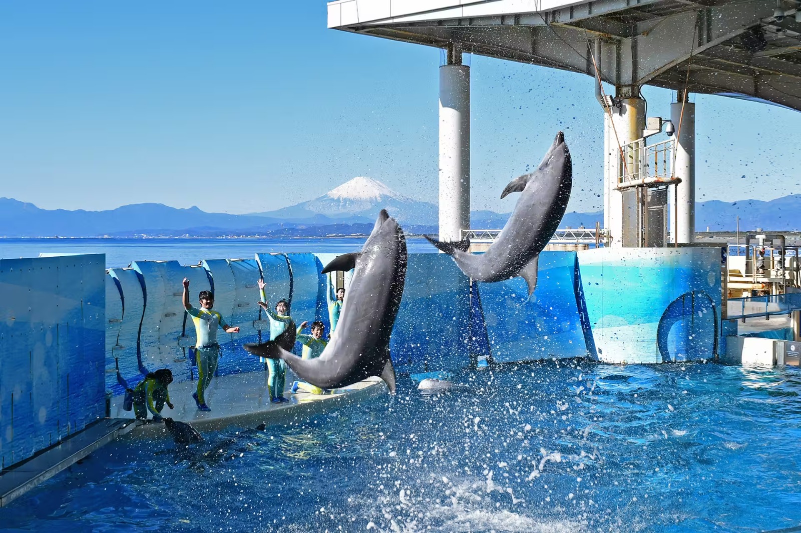 Enoshima Aquarium