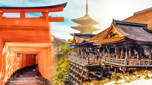 Kyoto & Nara 7 Major Spots Highlights Day Tour [Kiyomizudera Temple / Fushimi Inari Taisha / Nara Park / Kasugataisha Shrine / Byodoin Temple / Uji Omotesando / Todaiji Temple] Day Tours