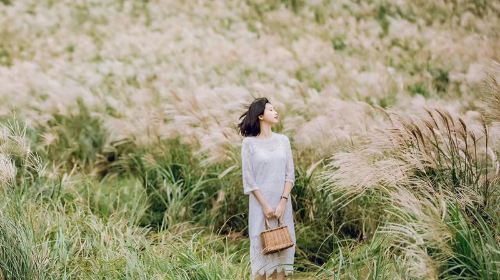 Jeju travel photography[Global Seoul and Jeju Island wedding photography package with professional photographer for pre-wedding photoshoots and portrait sessions]