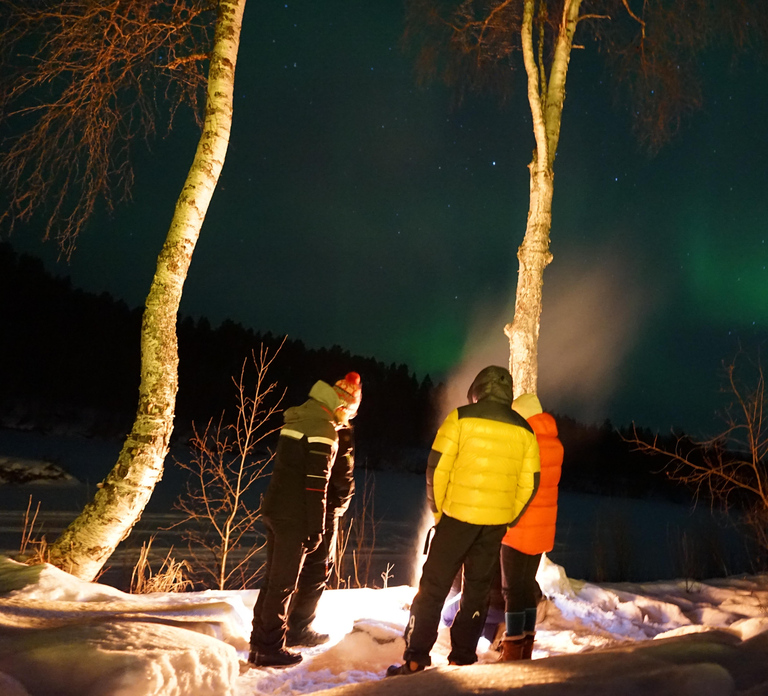 Muotkantunturi Reserve - Smoked salmon from Inari Lake and the Northern Lights