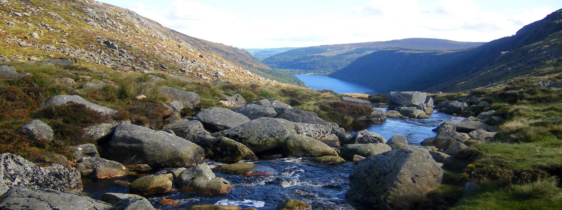 Wicklow Mountains, Glendalough, Irish Sheep Dog Trials, and Kilkenny City Day Tour from Dublin