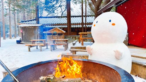 Chuncheon route - foreigner tourist taxi | 3-hour private charter Day Tours
