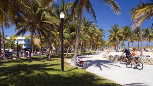  Miami City and Everglades National Park 1-day tour Day Tours
