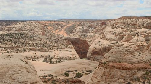 From Moab: 1-Day Horseshoe Canyon Exploration Day Tours