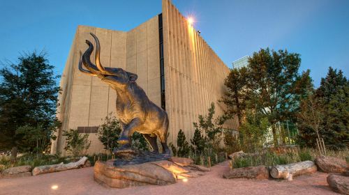 Denver Museum of Nature & Science: Entry Ticket