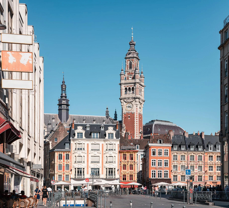 Private walking tour of downtown and Old Lille with a certified guide.