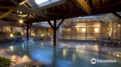 Tennen Onsen Naniwanoyu