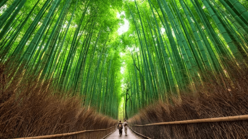 Kyoto: UNESCO World Heritage Arashiyama Walking Tour Day Tours