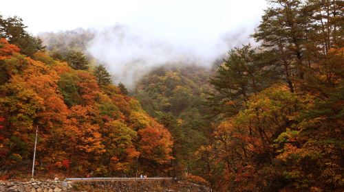 Summer and fall limited edition | From Seoul: Seoraksan + Nami Island 1-day tour Day Tours